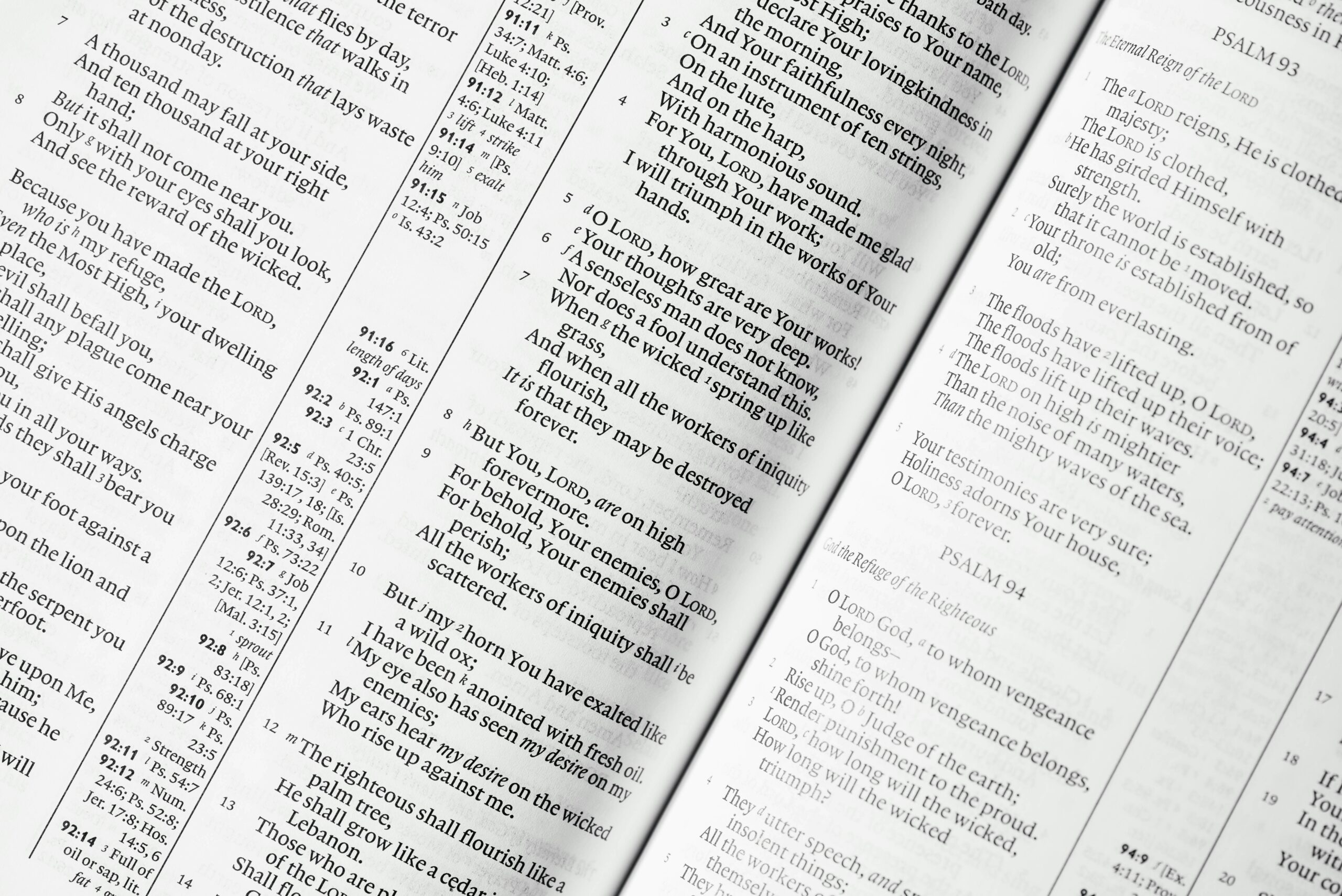 Image showing close-up shot of fine-print section highlighting exclusions.
