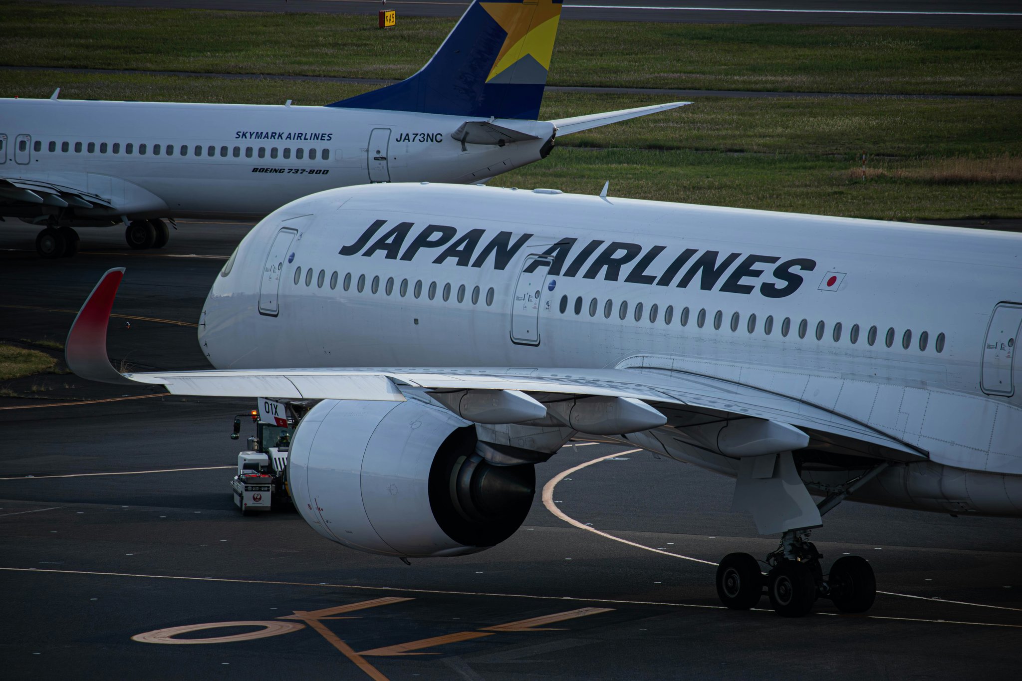 Why Partner Airlines Matter for Your Baggage Insurance Coverage